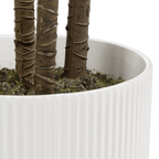Artificial Exotic Floor Plant in White Pot