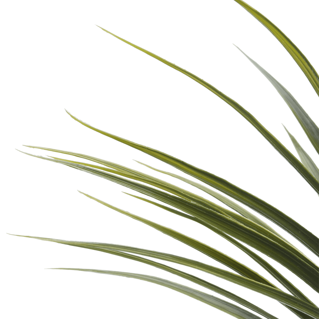 Artificial Exotic Floor Plant in White Pot