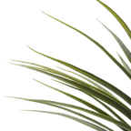 Artificial Exotic Floor Plant in White Pot