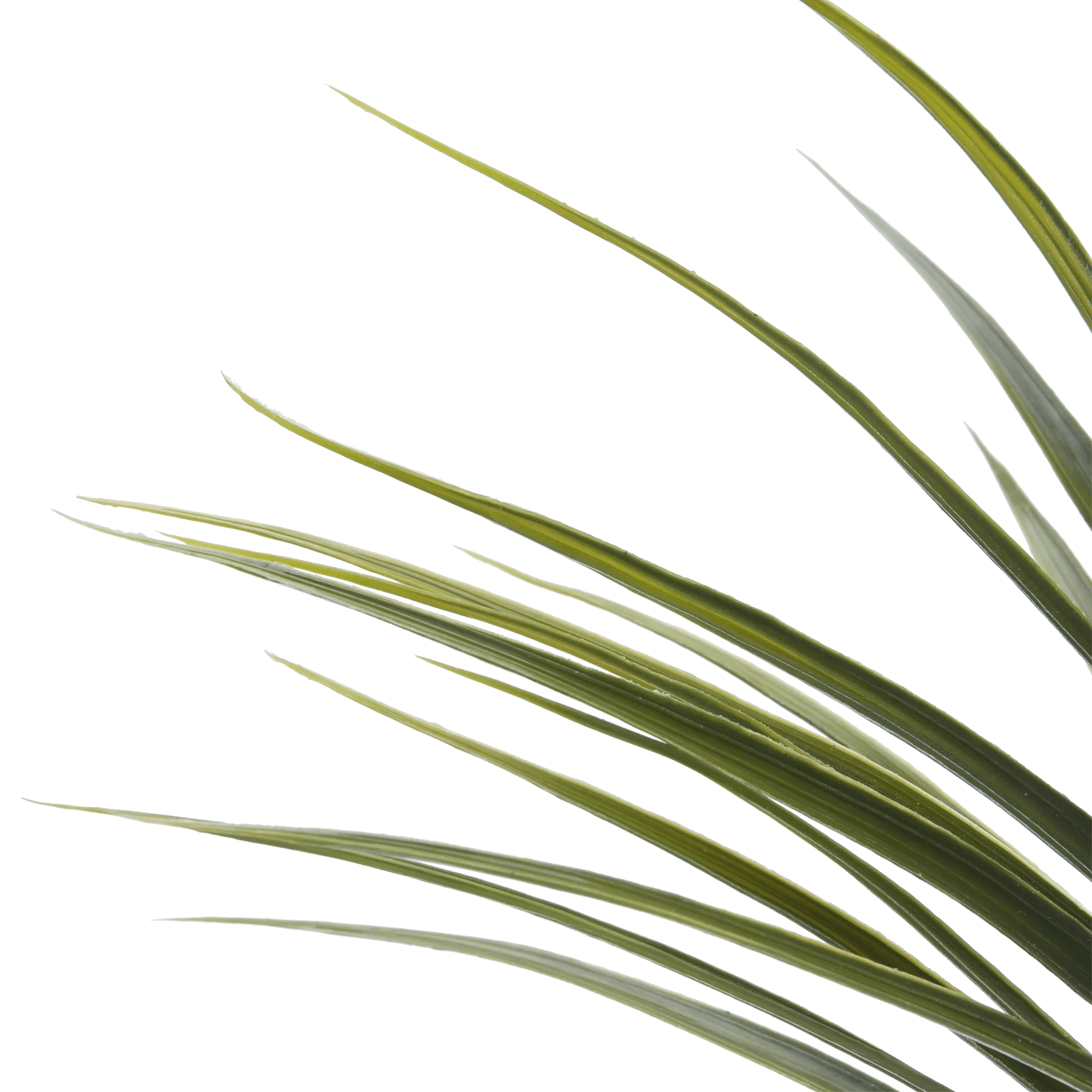 Artificial Exotic Floor Plant in White Pot