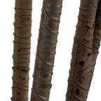 Artificial Exotic Floor Plant in White Pot