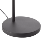 Metal and Glass Floor Lamp