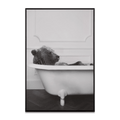 Bear in Bathtub Printed Framed Canvas