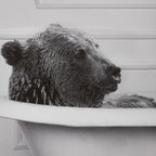 Bear in Bathtub Printed Framed Canvas