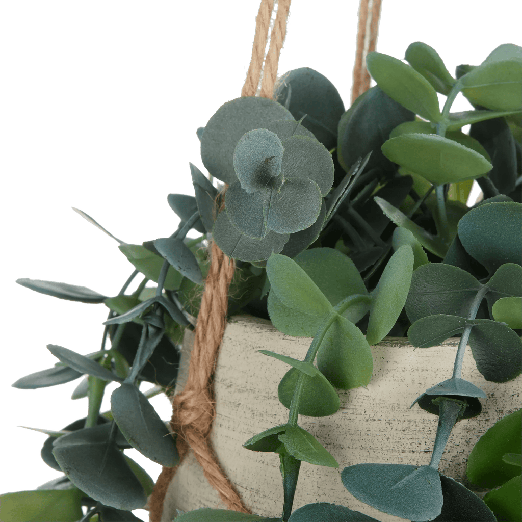 Natural Rope Hanging Eucalyptus