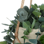 Natural Rope Hanging Eucalyptus