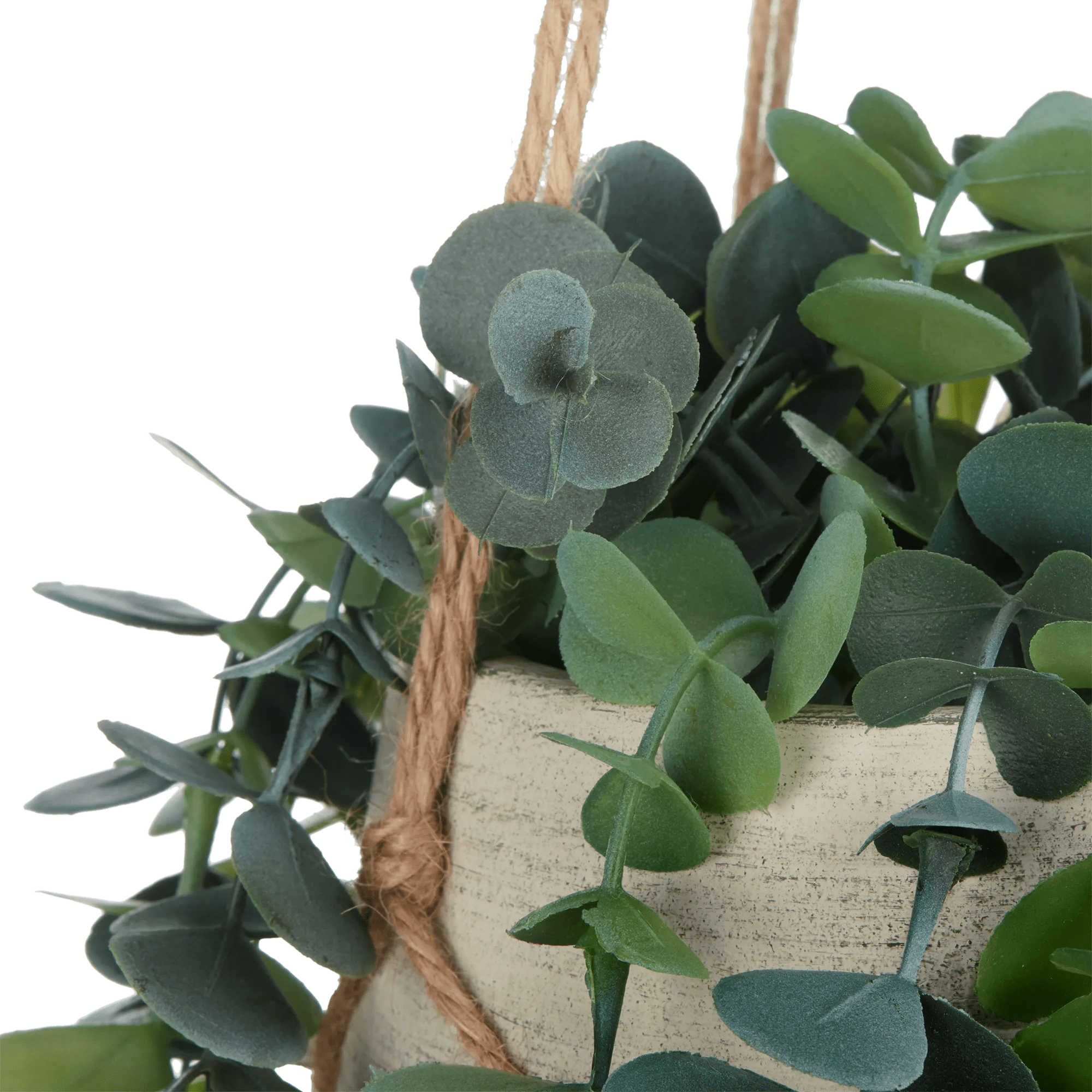 Natural Rope Hanging Eucalyptus