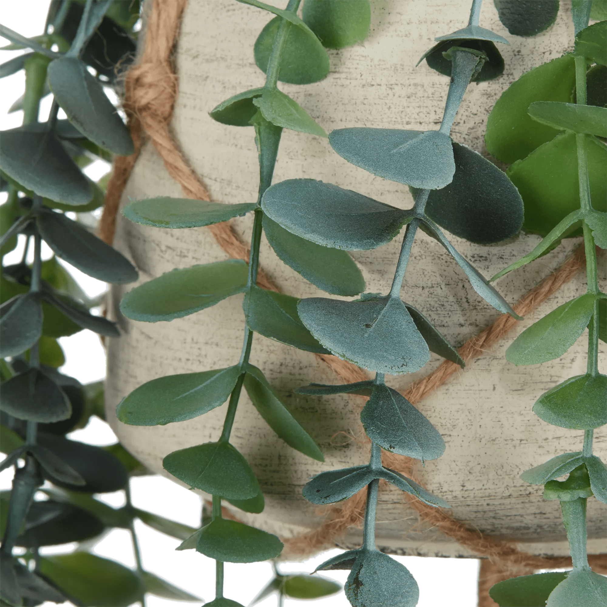 Natural Rope Hanging Eucalyptus