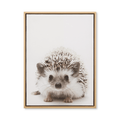 Hedgehog Framed Canvas