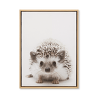 Hedgehog Framed Canvas
