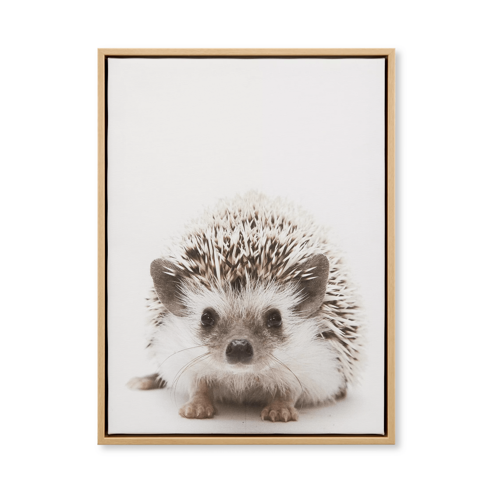 Hedgehog Framed Canvas