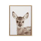 Fawn Framed Art