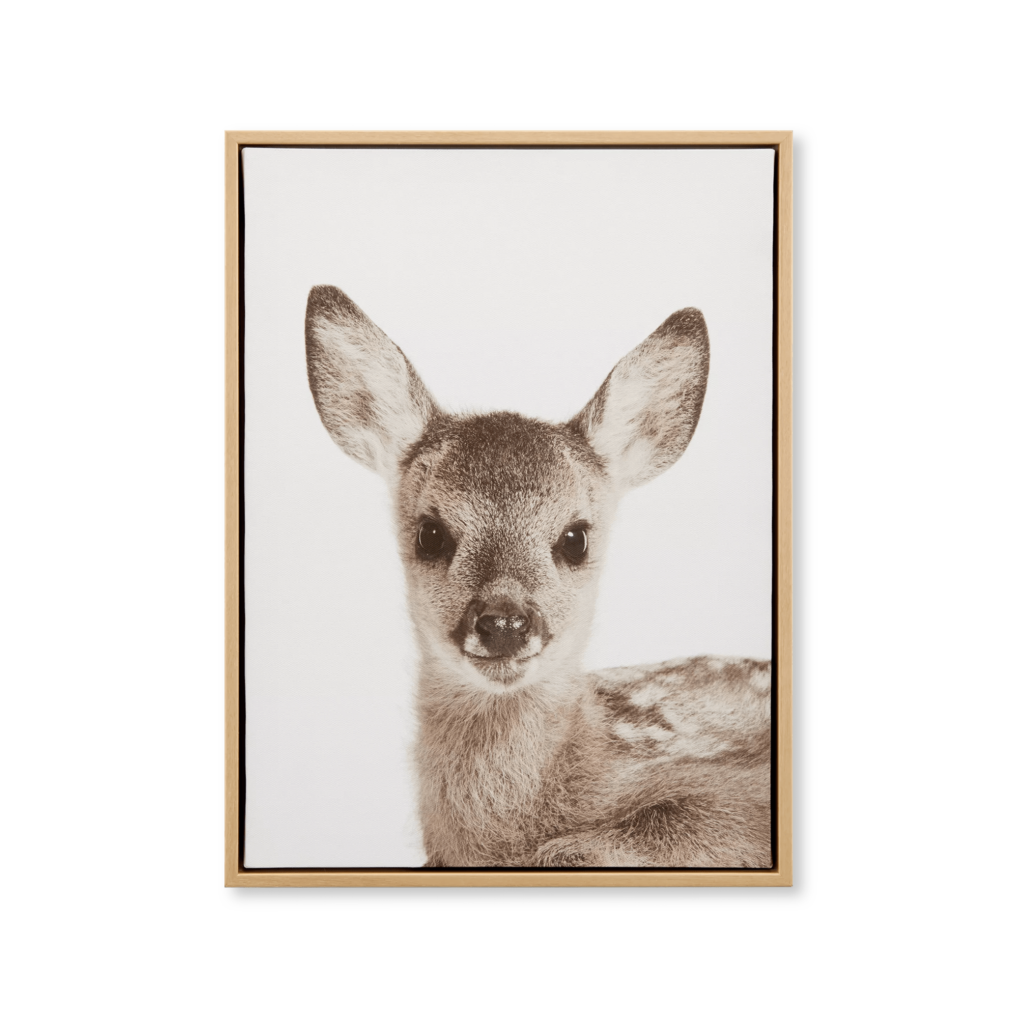 Fawn Framed Art