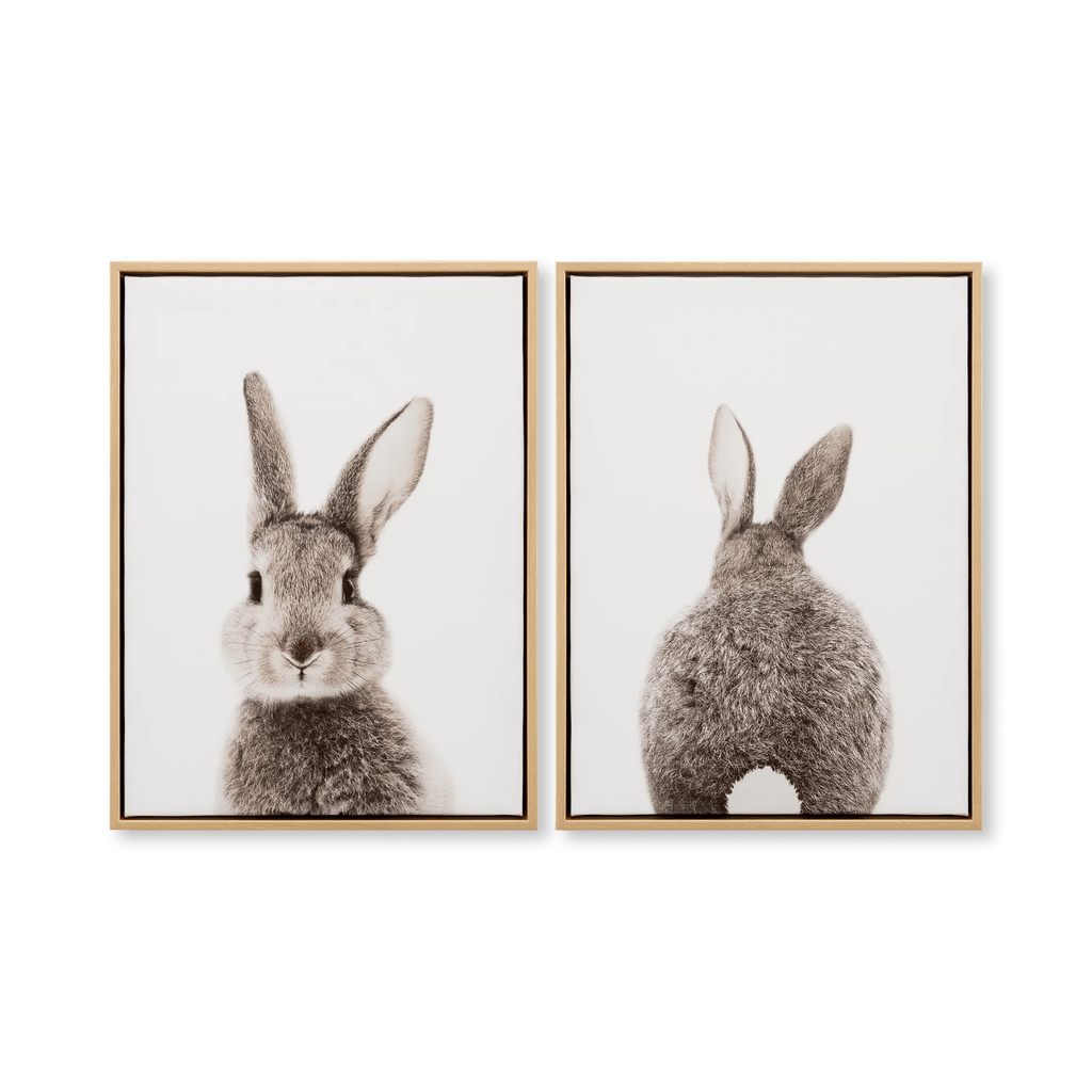 Set of 2 Bunny Framed Canvases