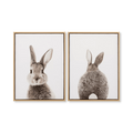 Set of 2 Bunny Framed Canvases