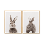 Set of 2 Bunny Framed Canvases