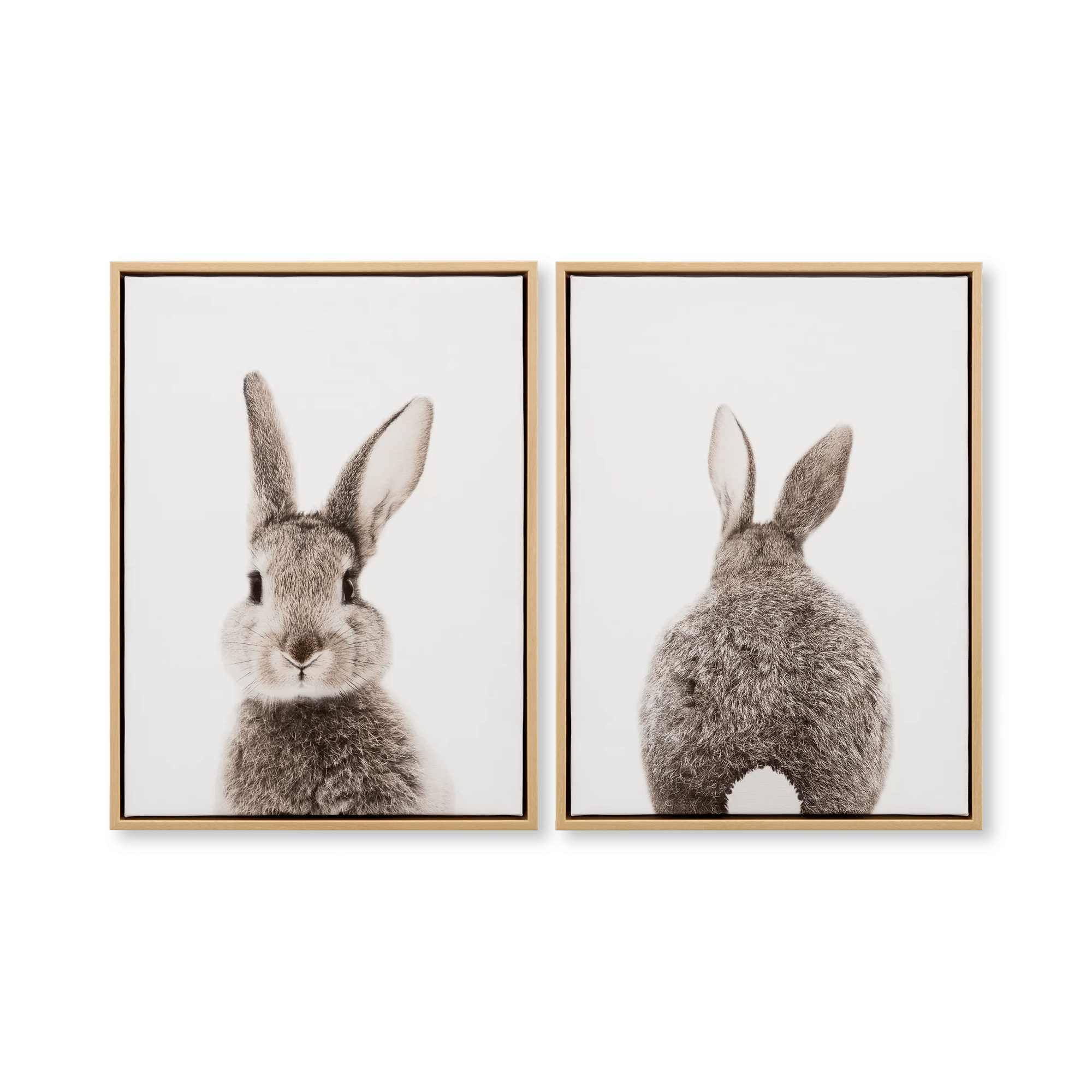 Set of 2 Bunny Framed Canvases