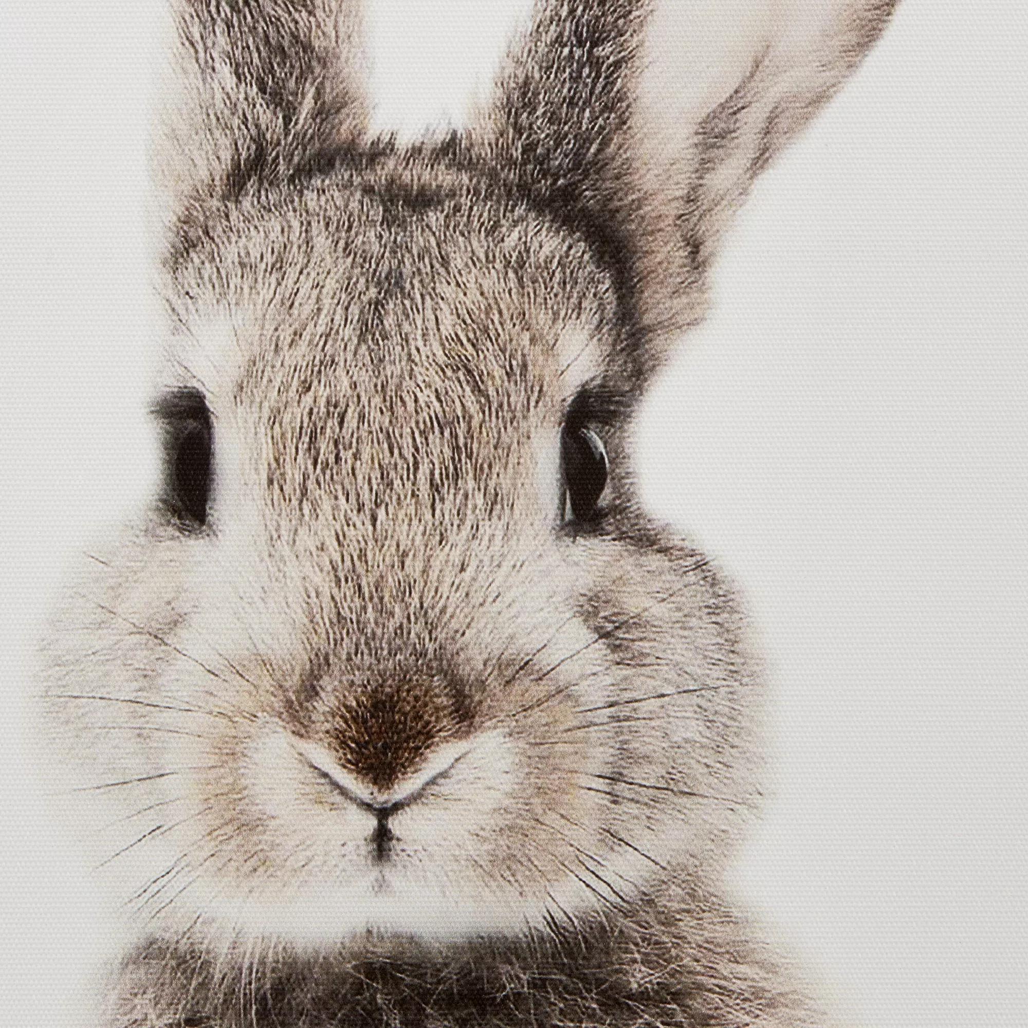 Set of 2 Bunny Framed Canvases