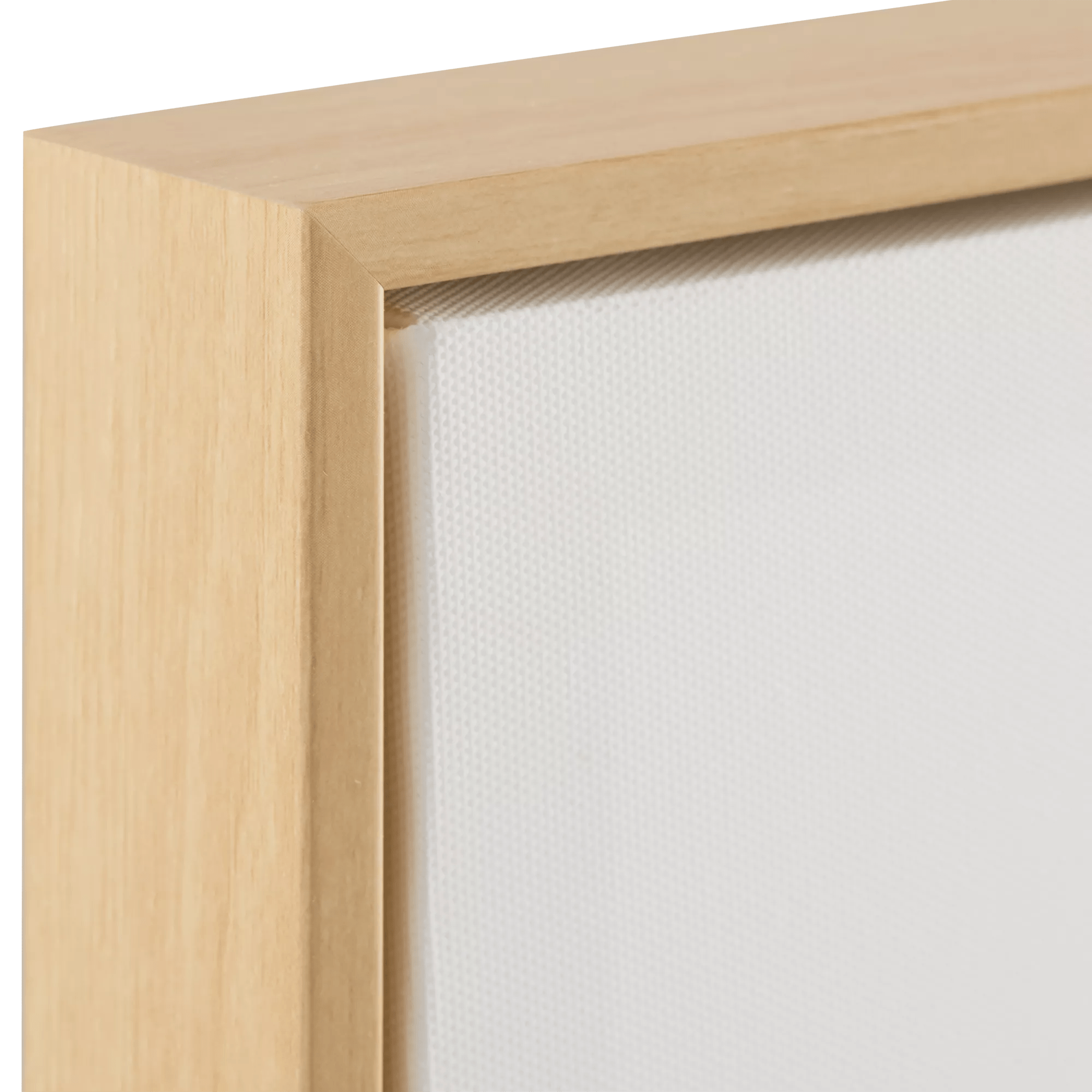 Set of 2 Bunny Framed Canvases