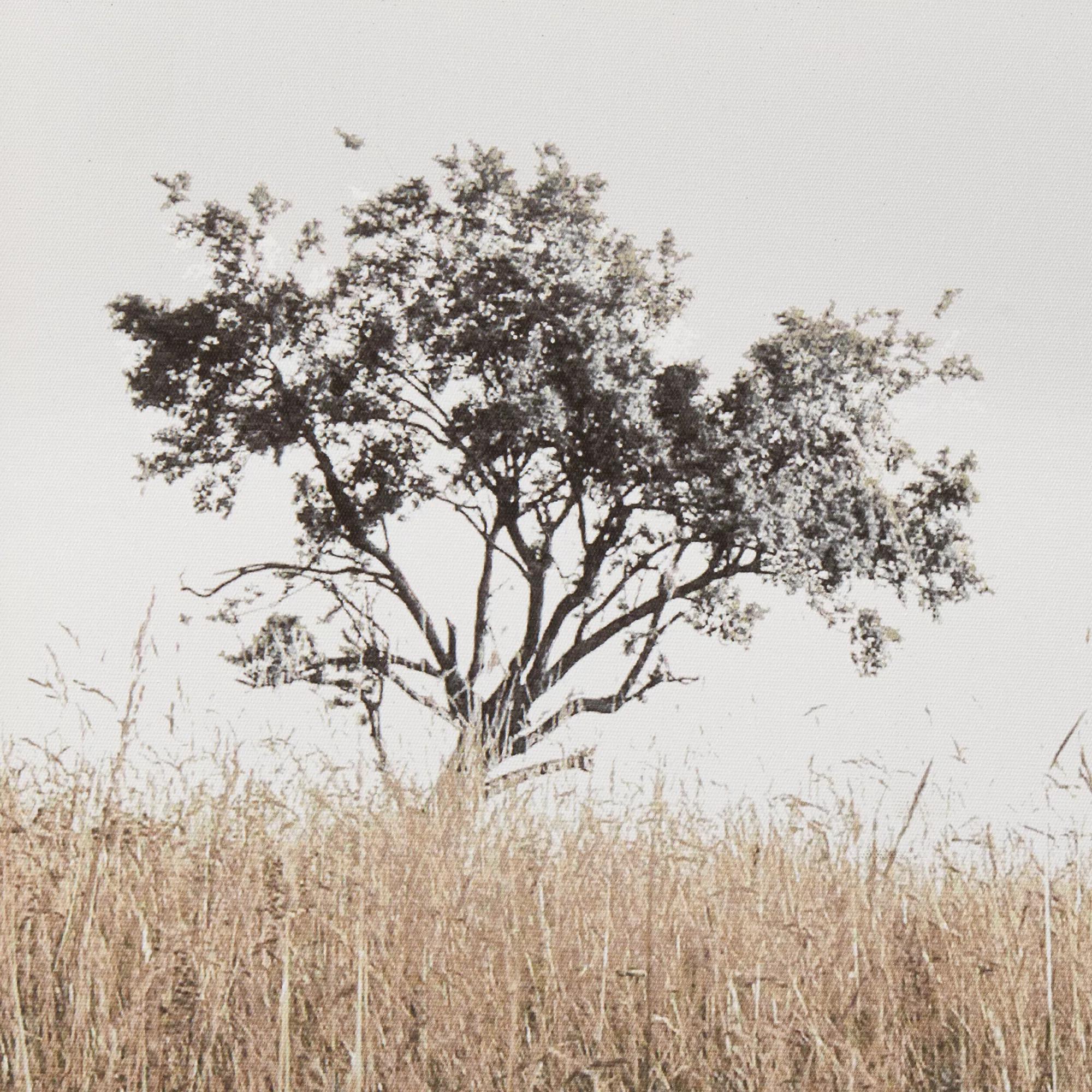 Typography Framed Art