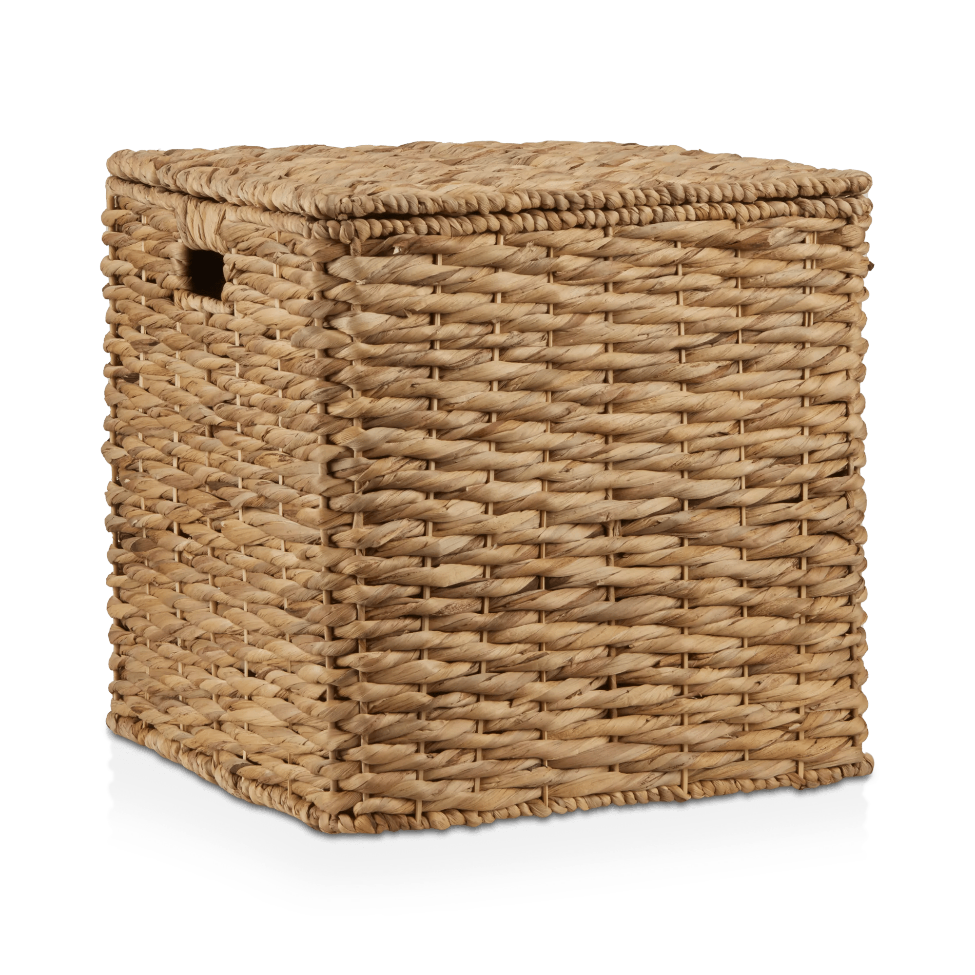 Water Hyacinth Storage Trunk