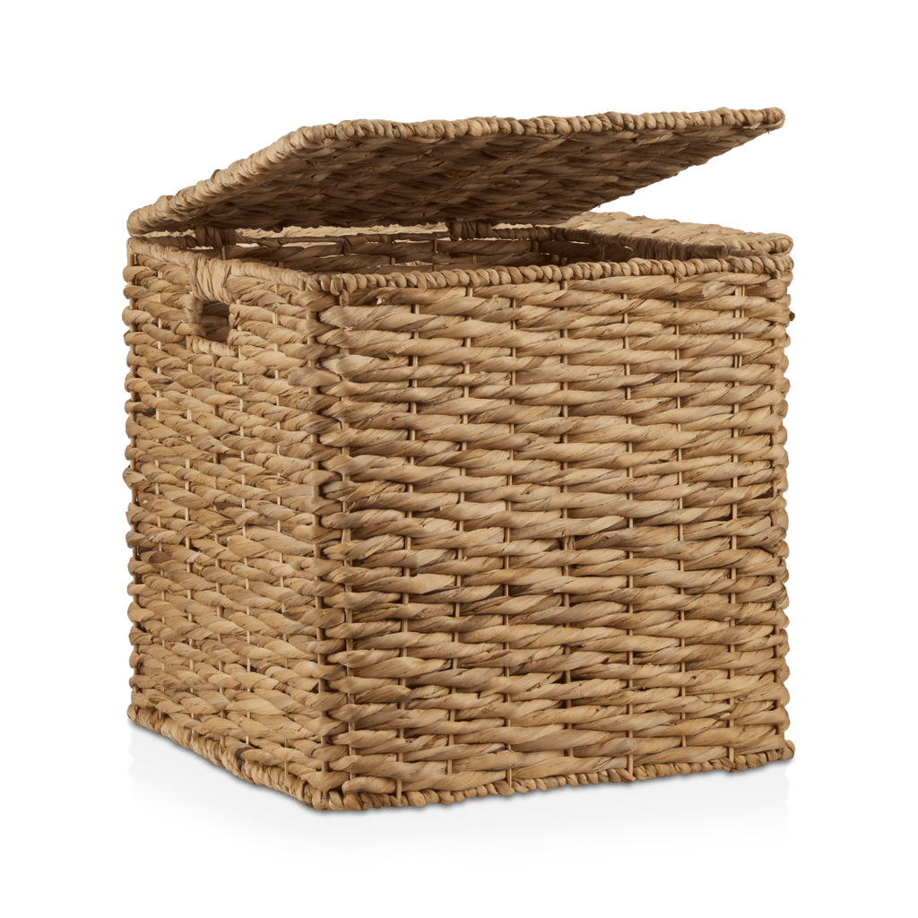 Water Hyacinth Storage Trunk