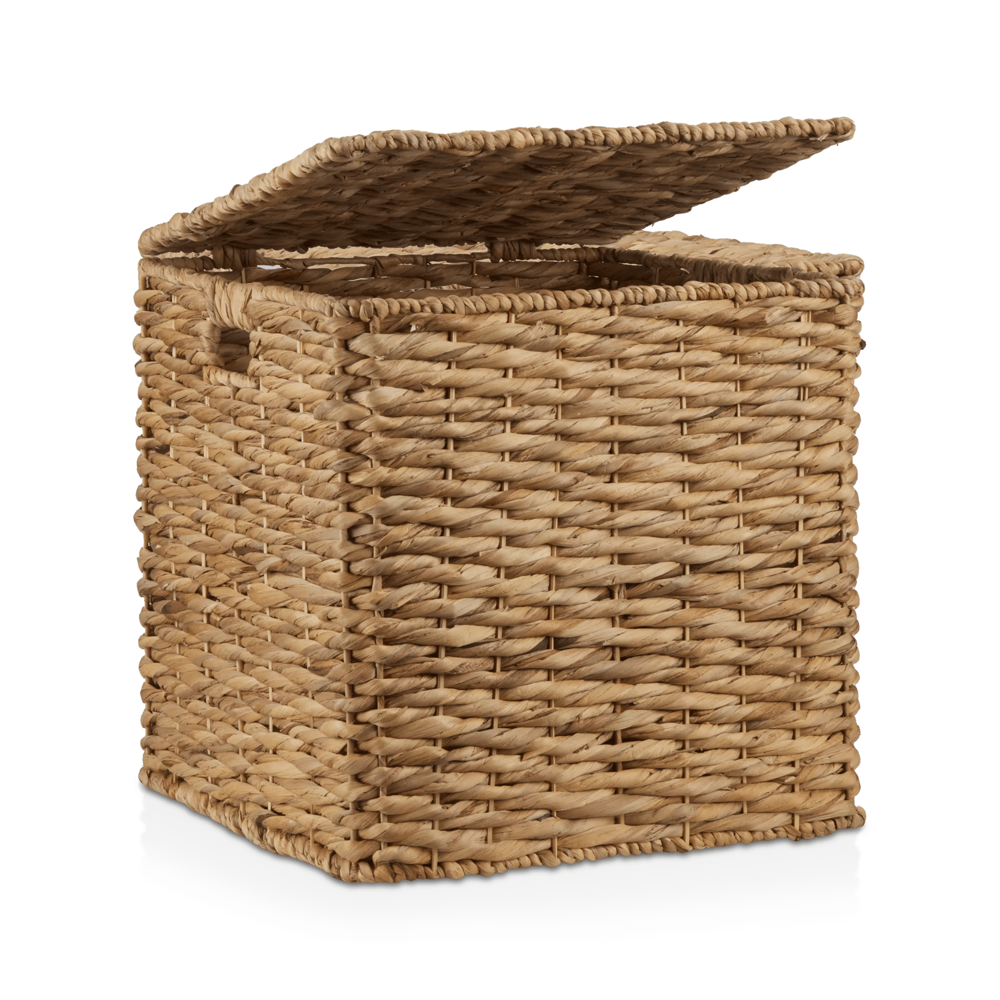 Water Hyacinth Storage Trunk