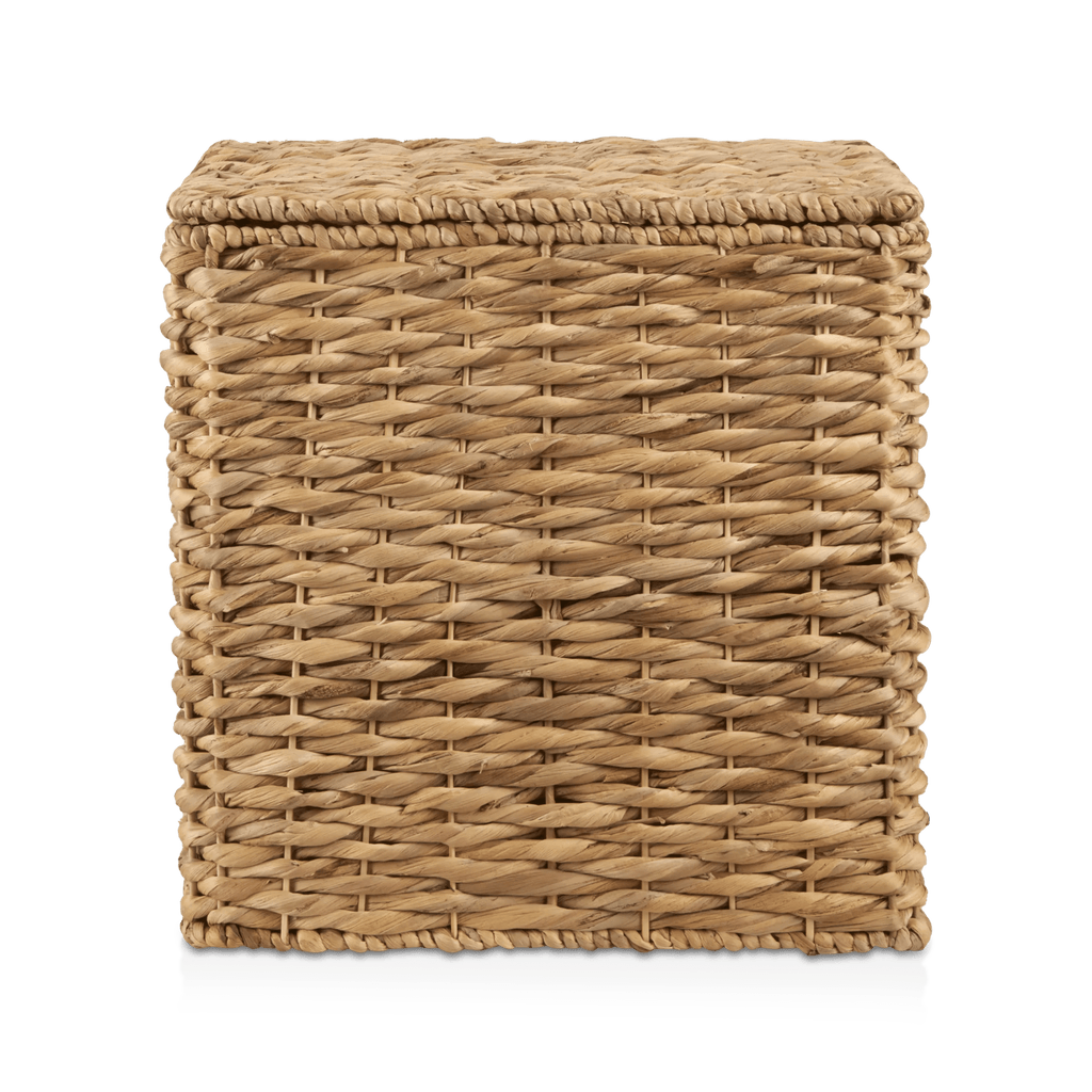 Water Hyacinth Storage Trunk