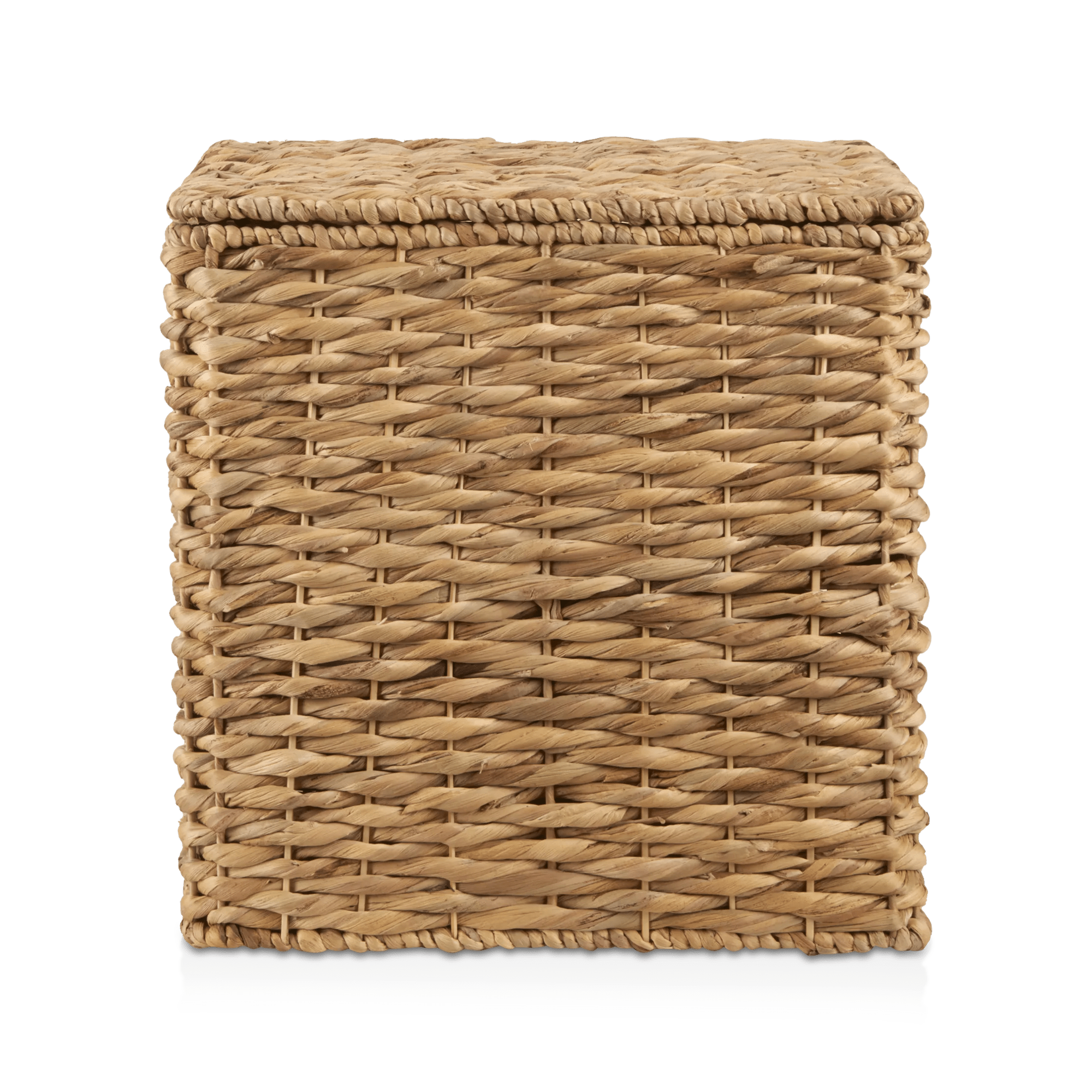 Water Hyacinth Storage Trunk