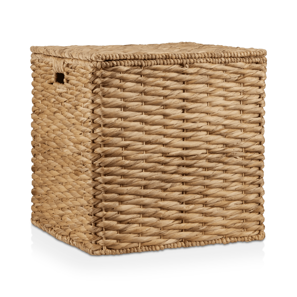Water Hyacinth Storage Trunk