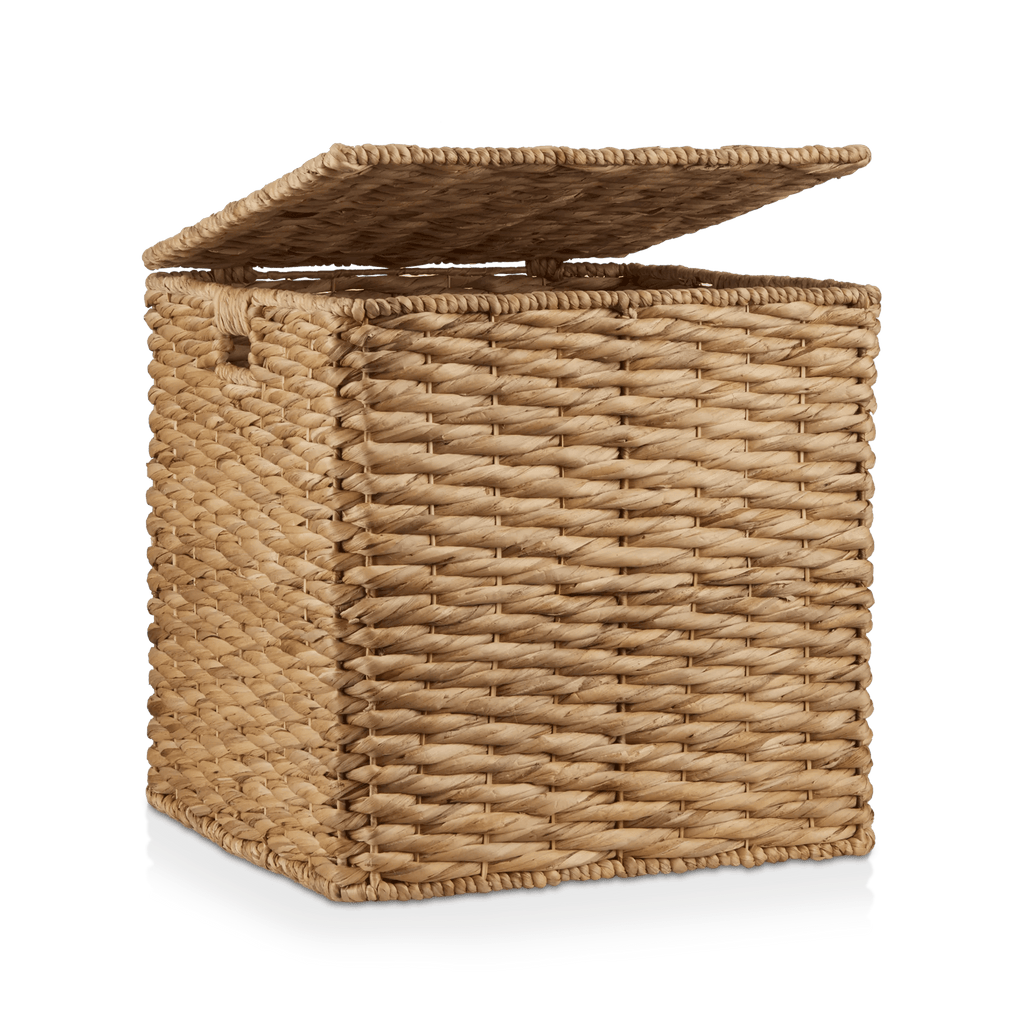 Water Hyacinth Storage Trunk
