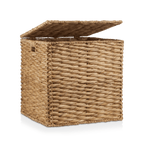 Water Hyacinth Storage Trunk