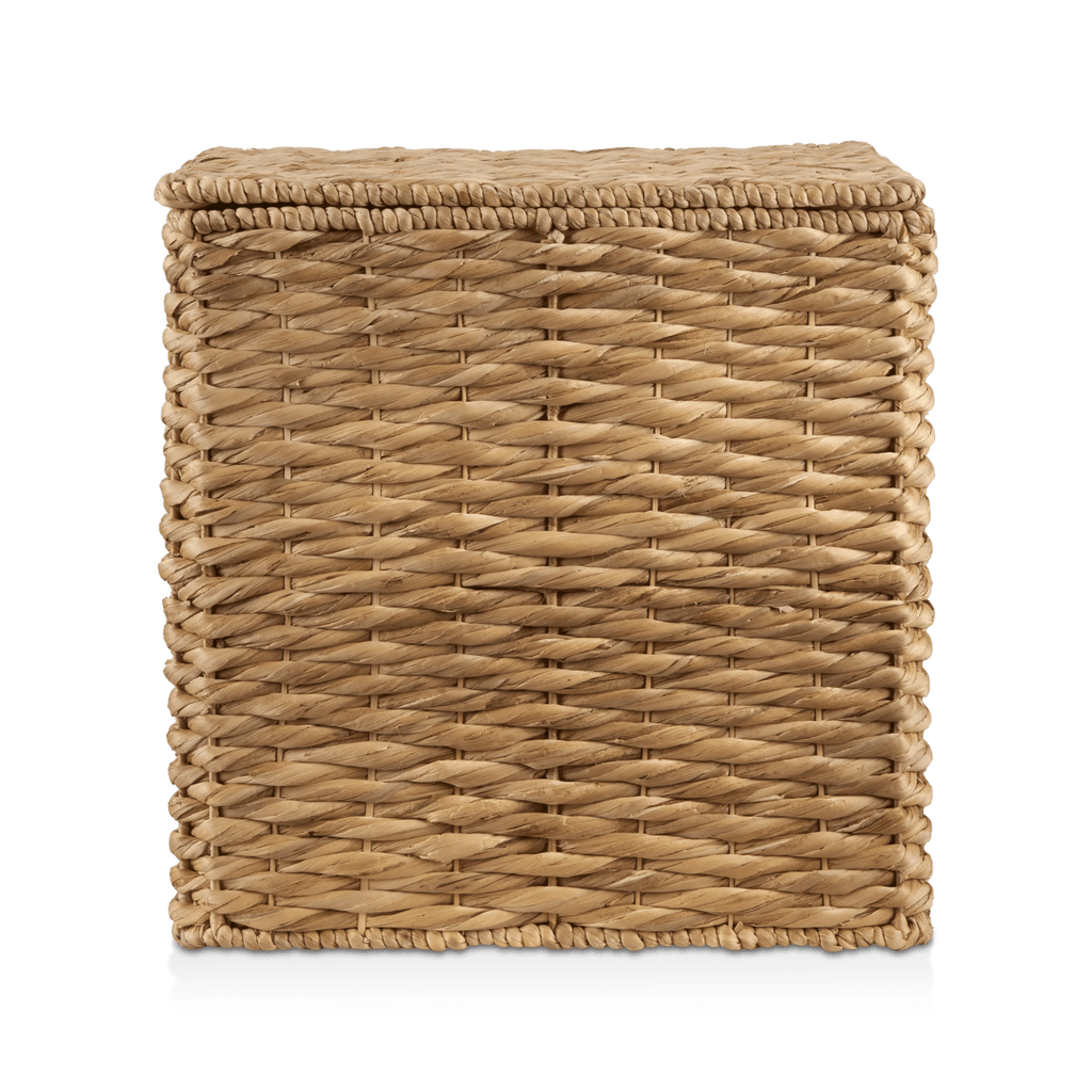 Water Hyacinth Storage Trunk