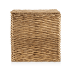 Water Hyacinth Storage Trunk