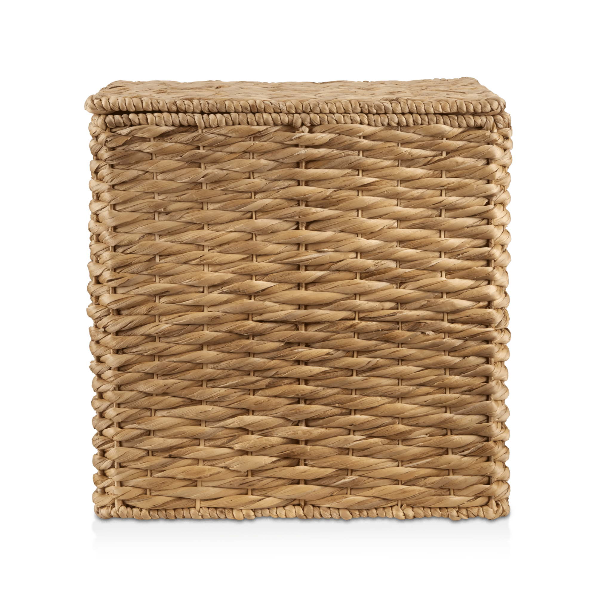 Water Hyacinth Storage Trunk