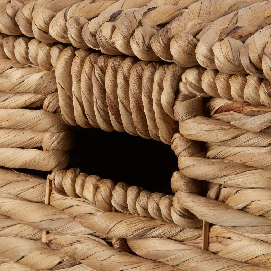 Water Hyacinth Storage Trunk