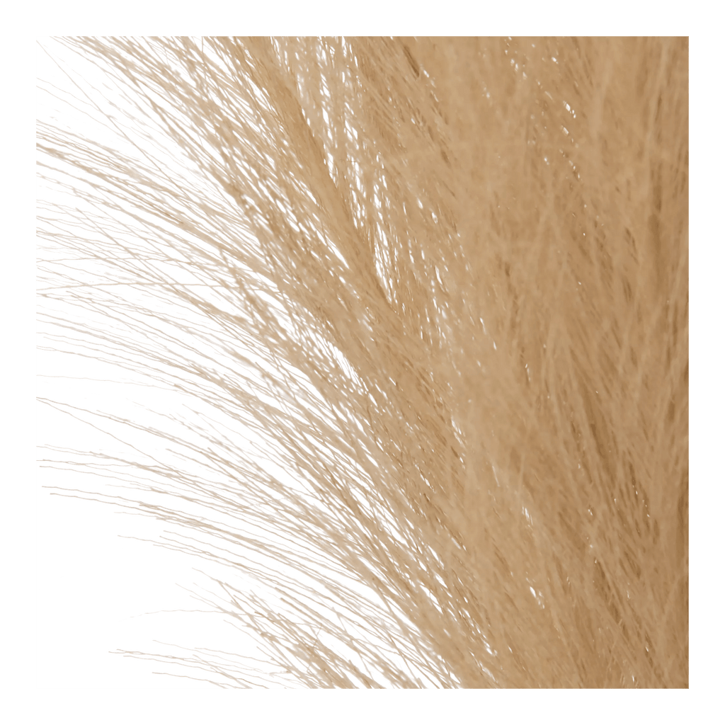 Pampas Bouquet in Vase