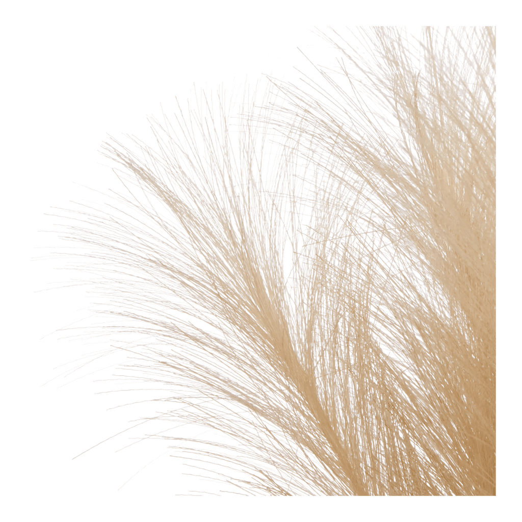 Pampas Bouquet in Vase