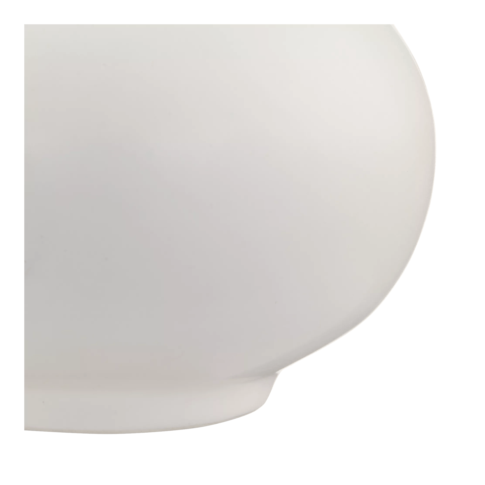 Pampas Bouquet in Vase