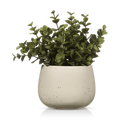 Artificial Plant in Beige Speckled Pot