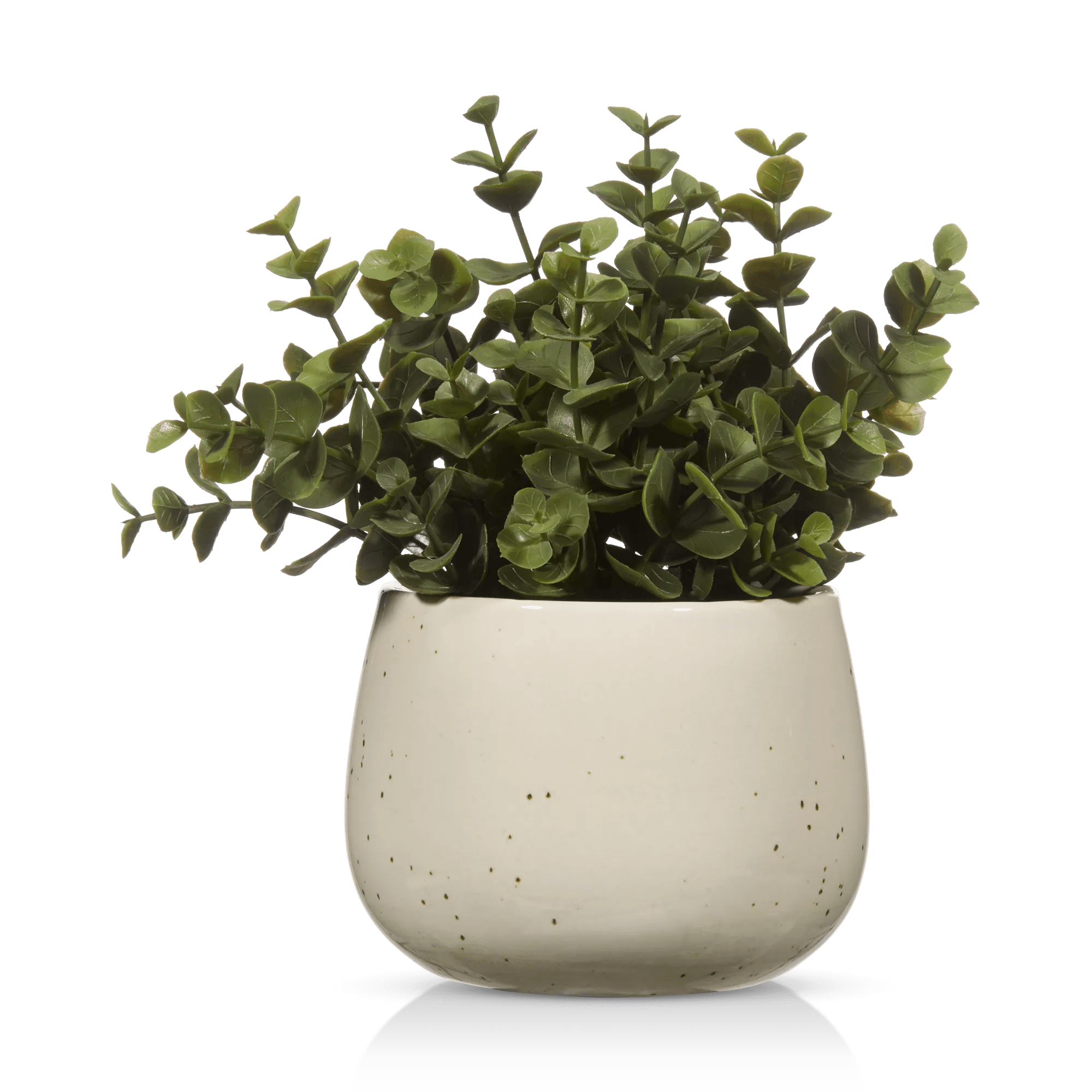 Artificial Plant in Beige Speckled Pot