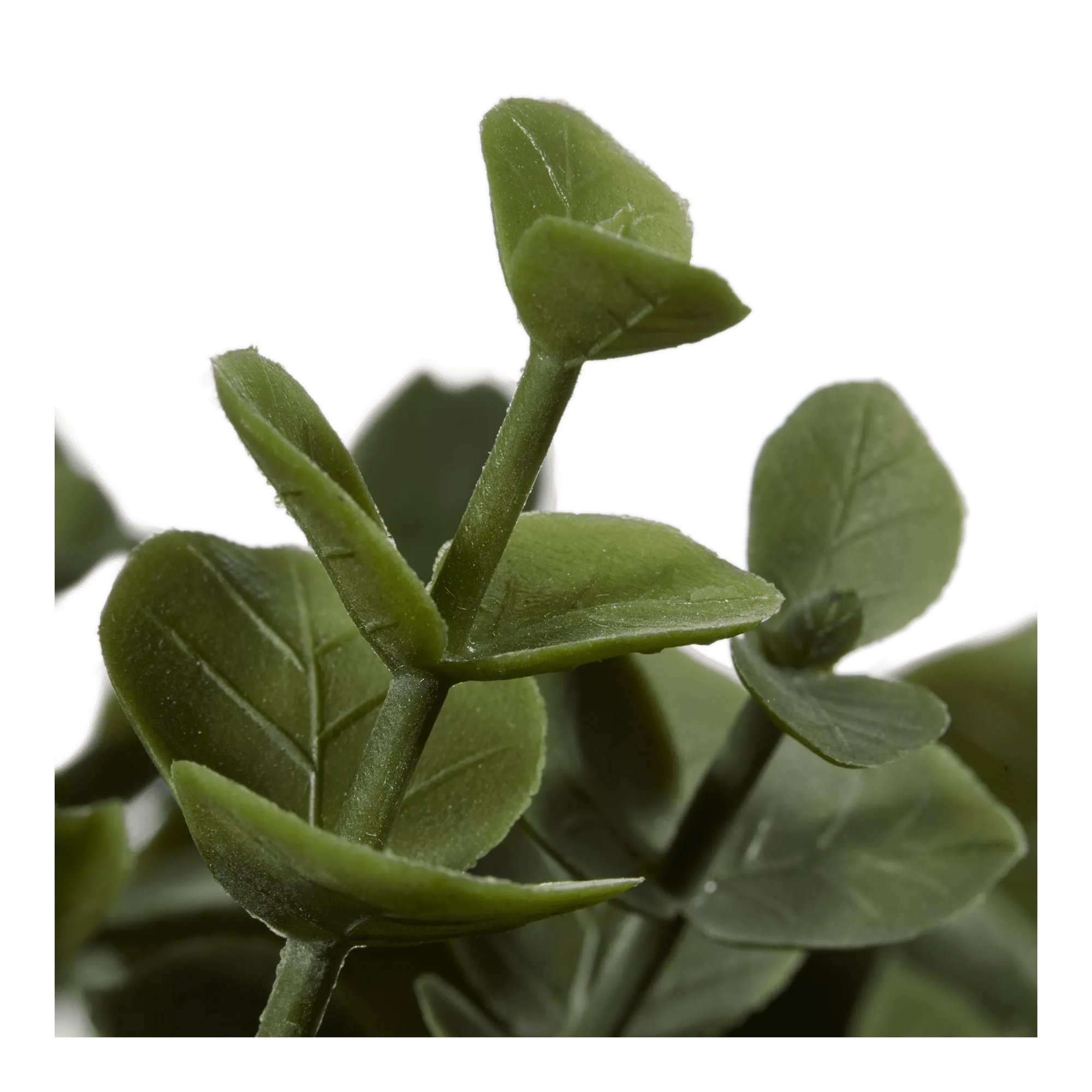 Artificial Plant in Beige Speckled Pot