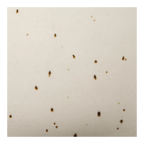 Artificial Plant in Beige Speckled Pot