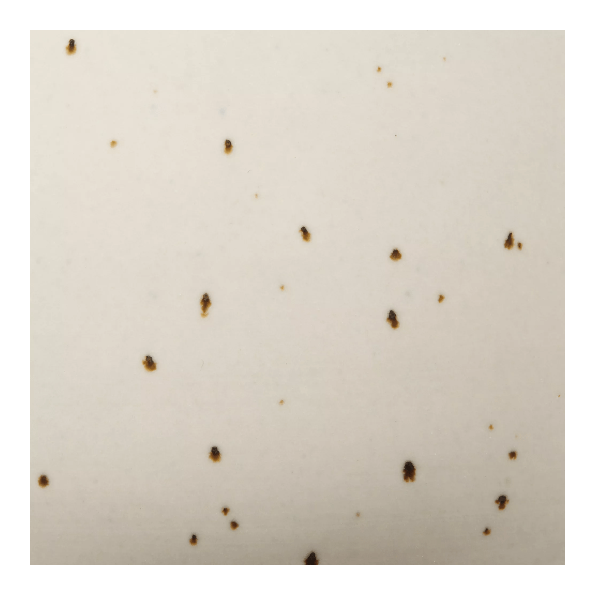 Artificial Plant in Beige Speckled Pot