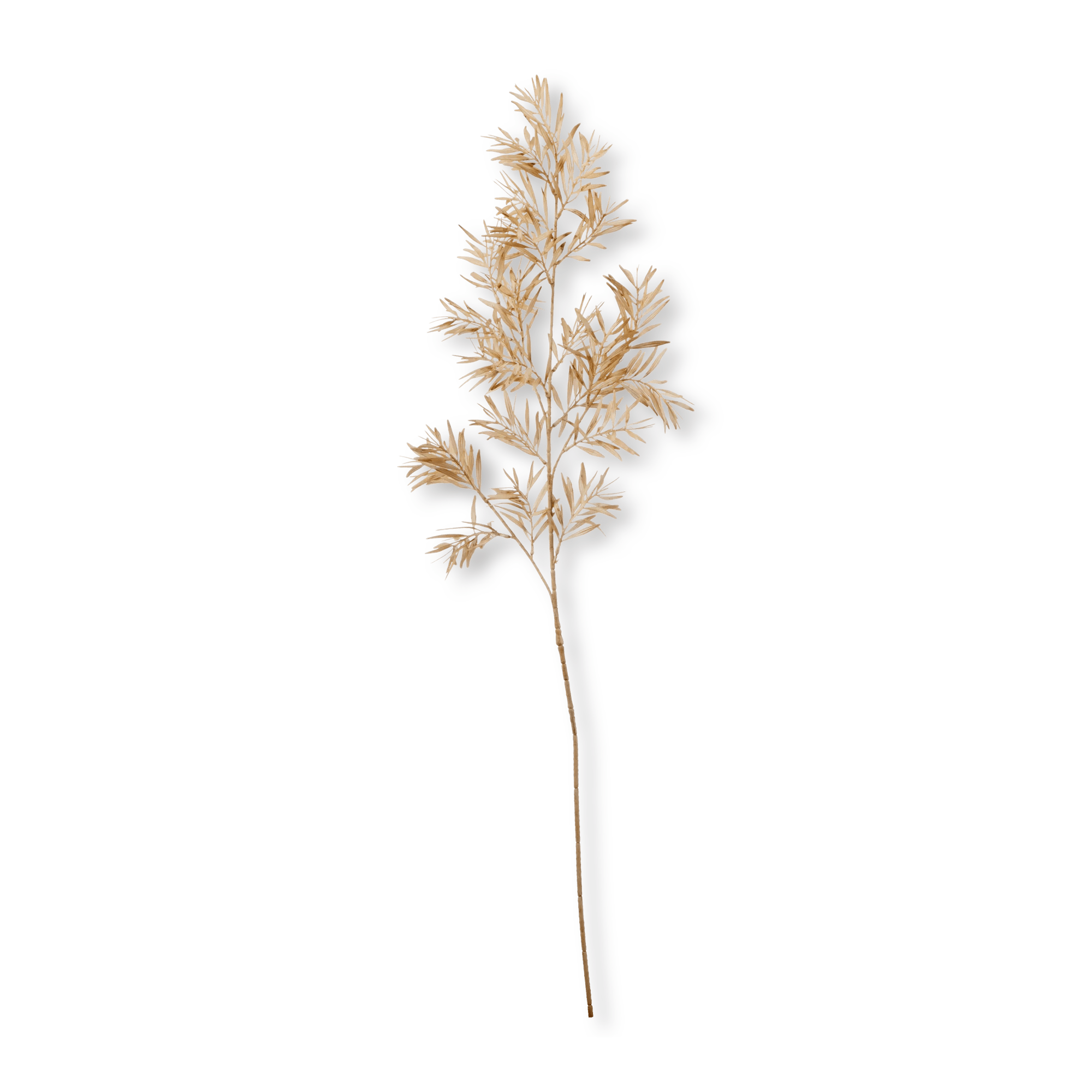 Beige Wild Leaves Stem