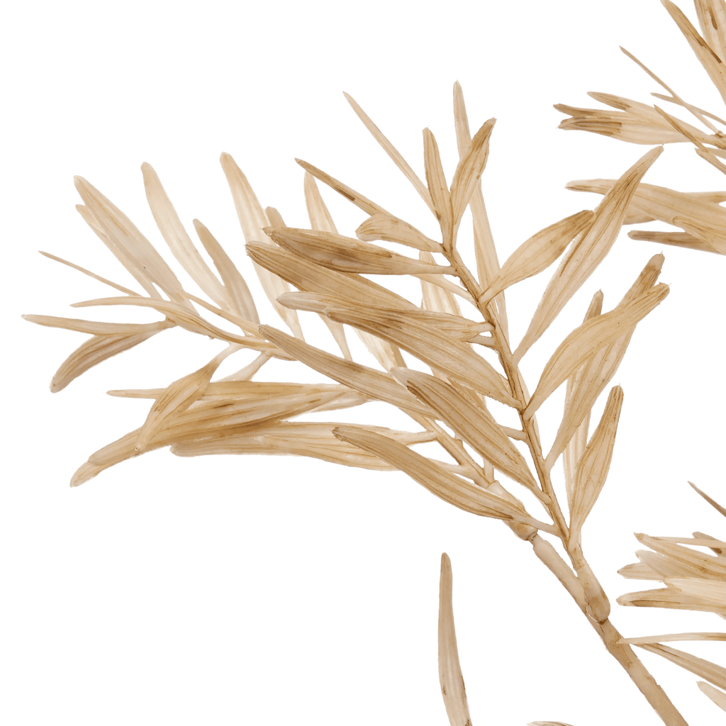 Beige Wild Leaves Stem