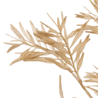 Beige Wild Leaves Stem