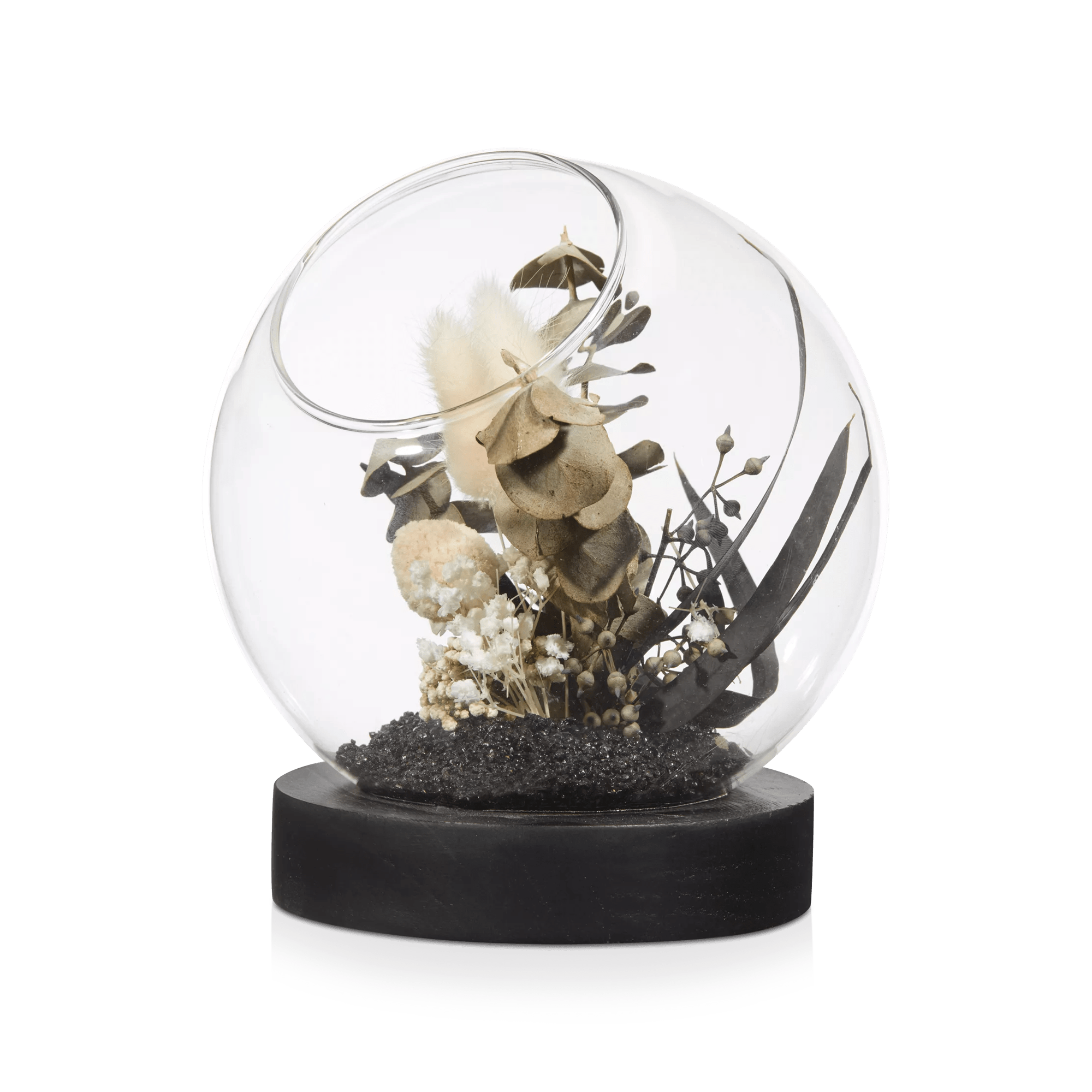 Decorative Stems in Glass Dome