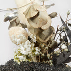 Decorative Stems in Glass Dome