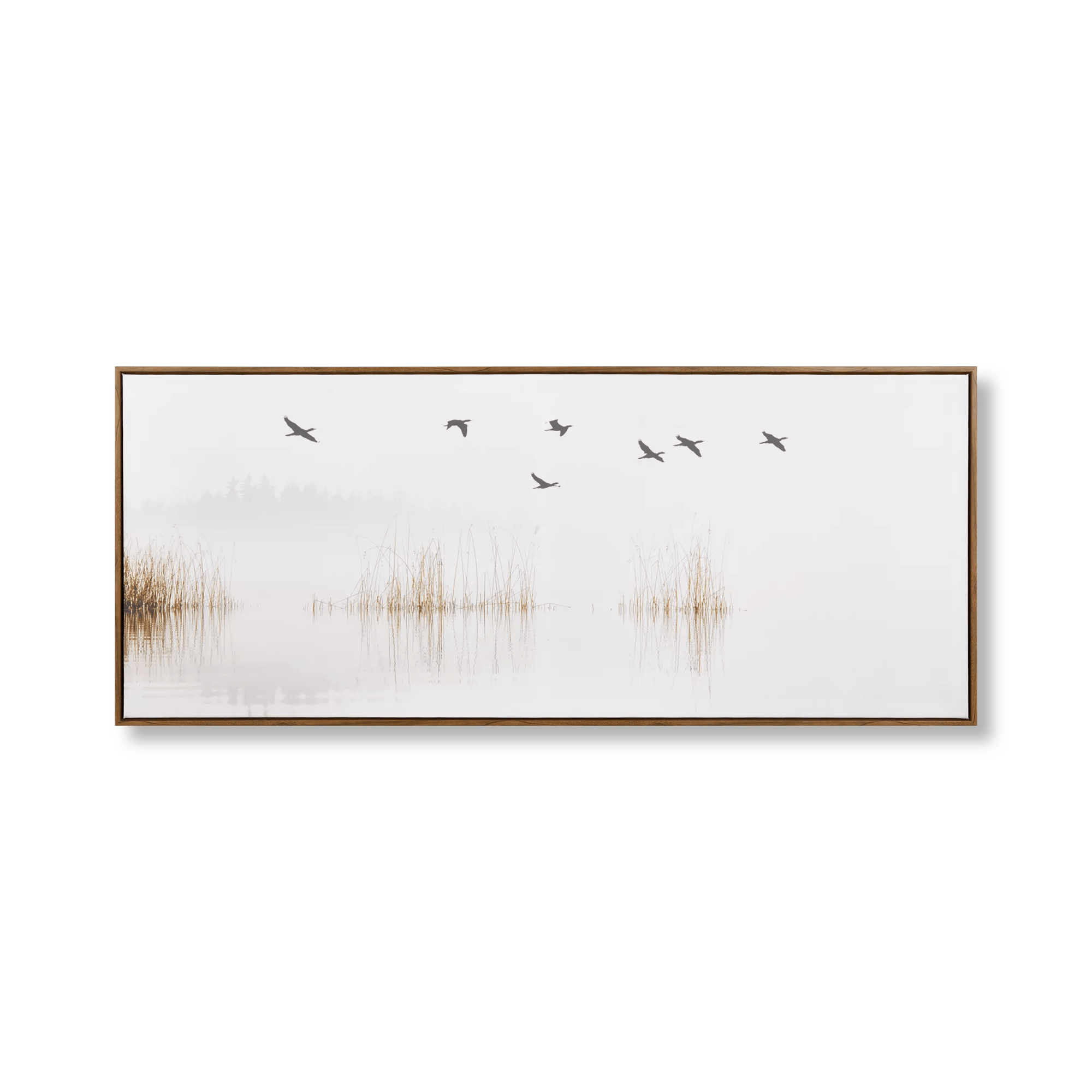 Flock of Birds Framed Canvas